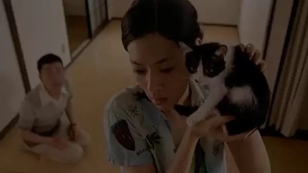 レンタネコの画像