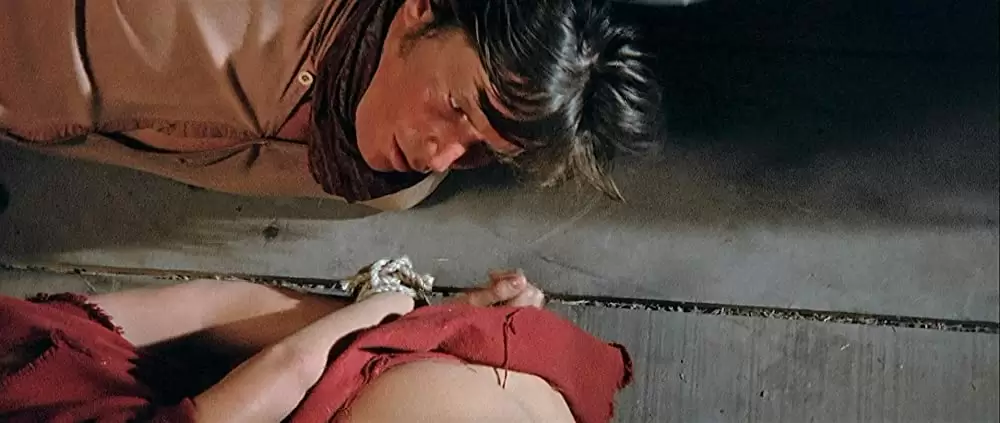 「ソルジャーブルー」キャンディス・バーゲン & ピーター・ストラウスの画像