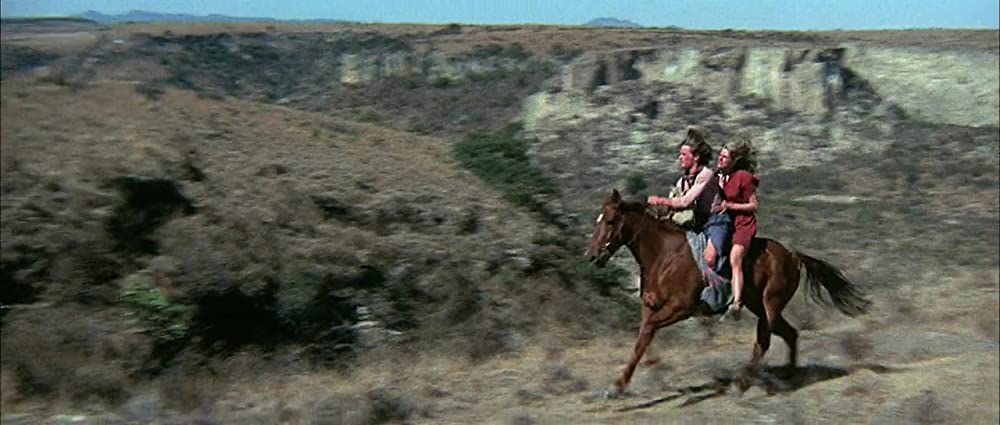 ソルジャーブルーの画像