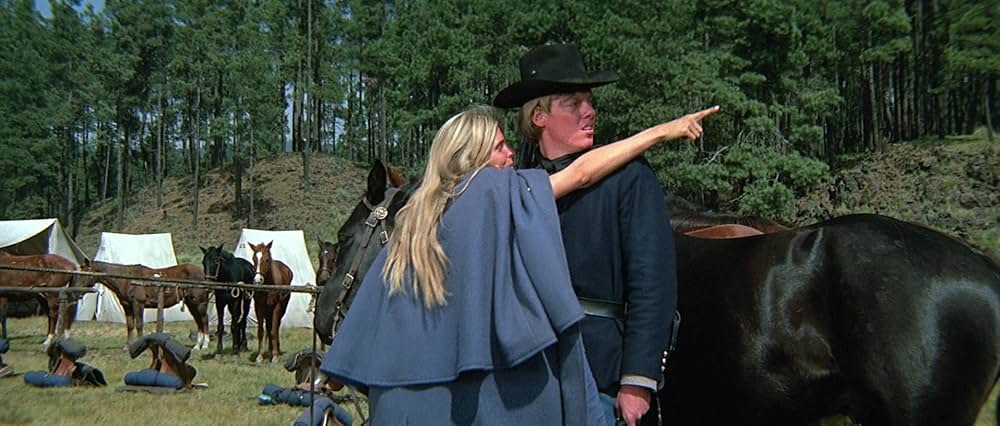 ソルジャーブルーの画像