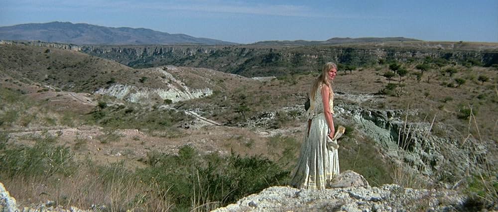 ソルジャーブルーの画像