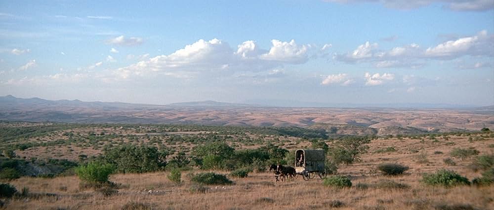 ソルジャーブルーの画像