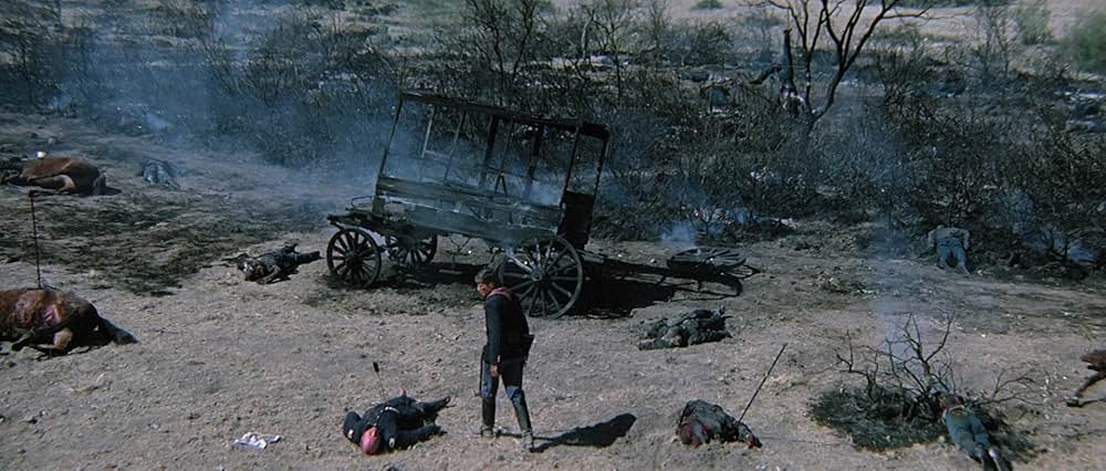 ソルジャーブルーの画像