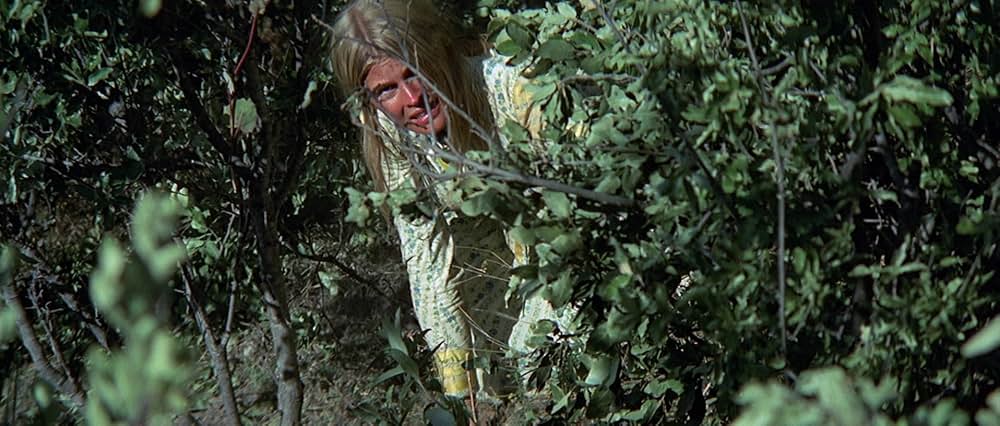 ソルジャーブルーの画像