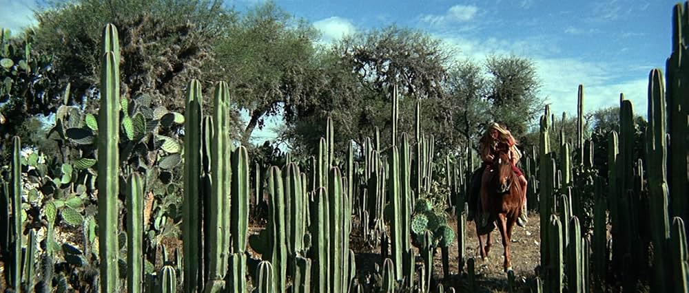 ソルジャーブルーの画像