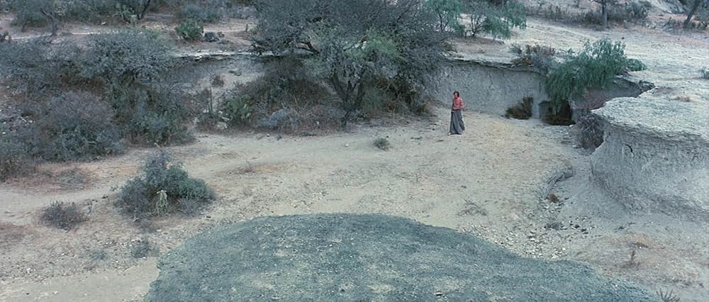 ソルジャーブルーの画像