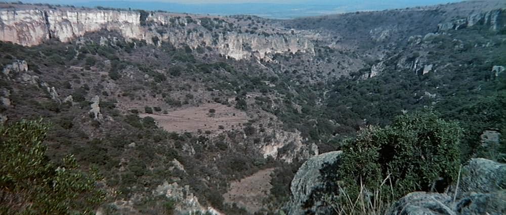 ソルジャーブルーの画像