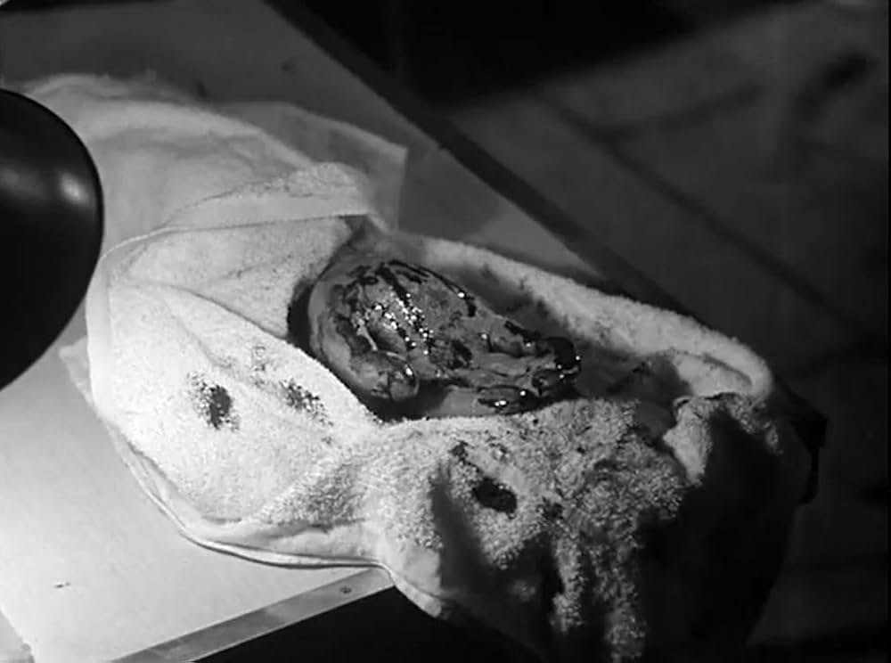 Frankenstein's Daughter（原題）の画像