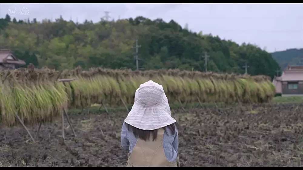 「恋のしずく」の画像