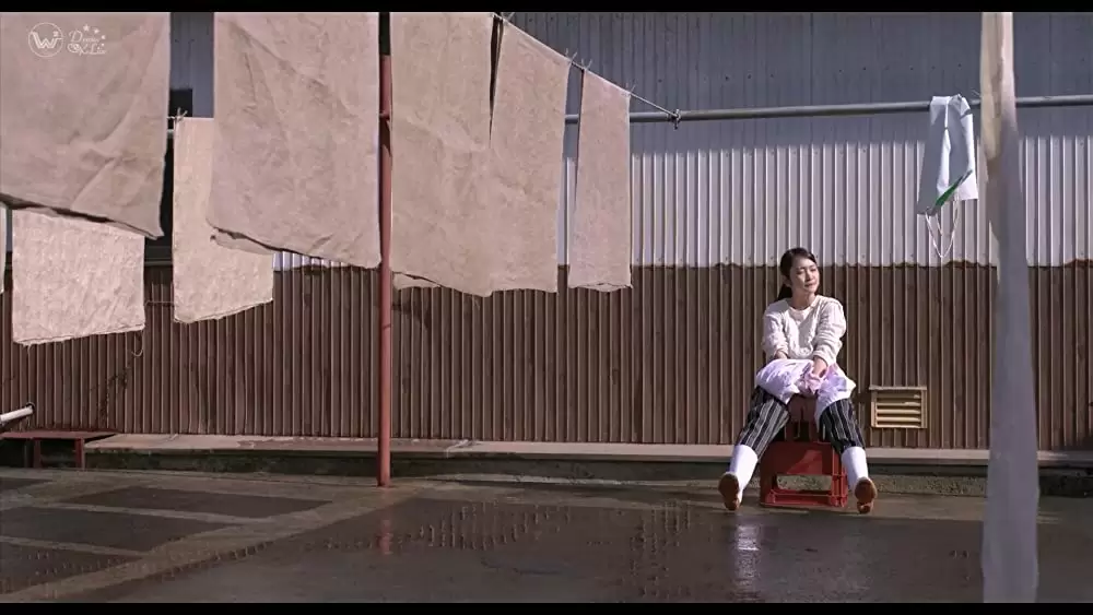 「恋のしずく」の画像