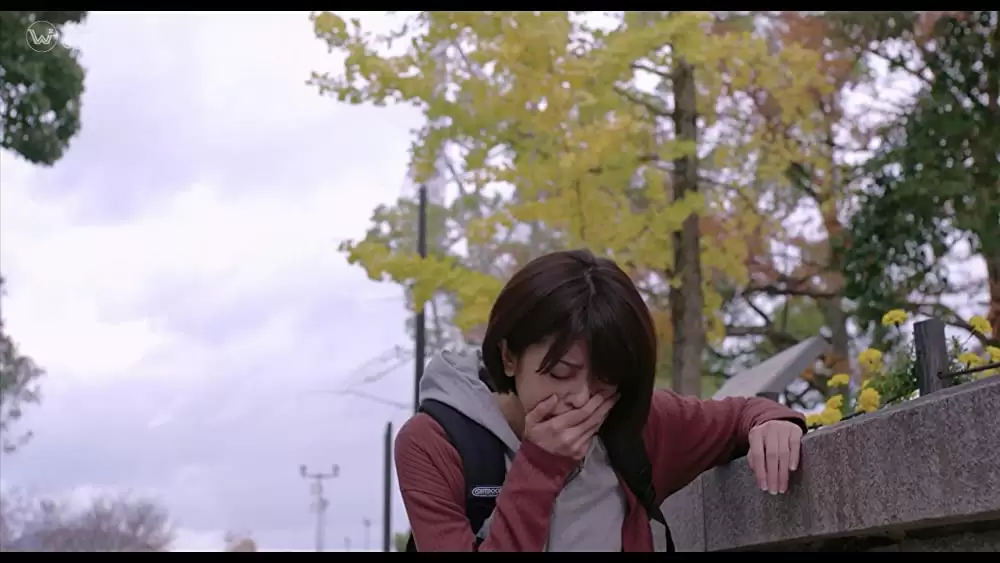 「恋のしずく」の画像