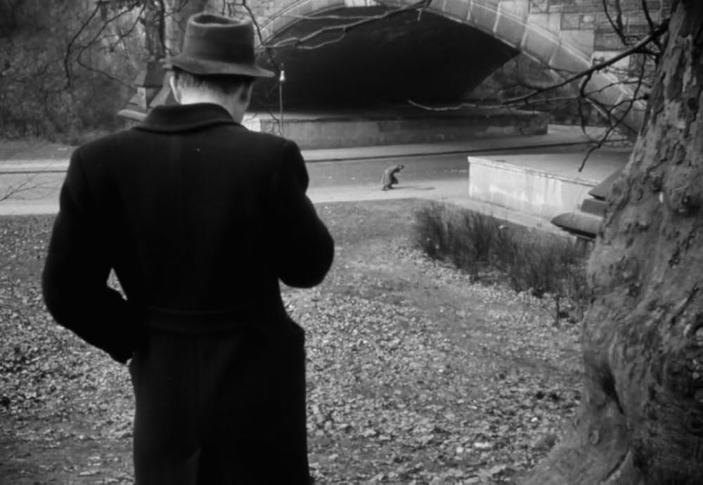 追い詰められた男の画像