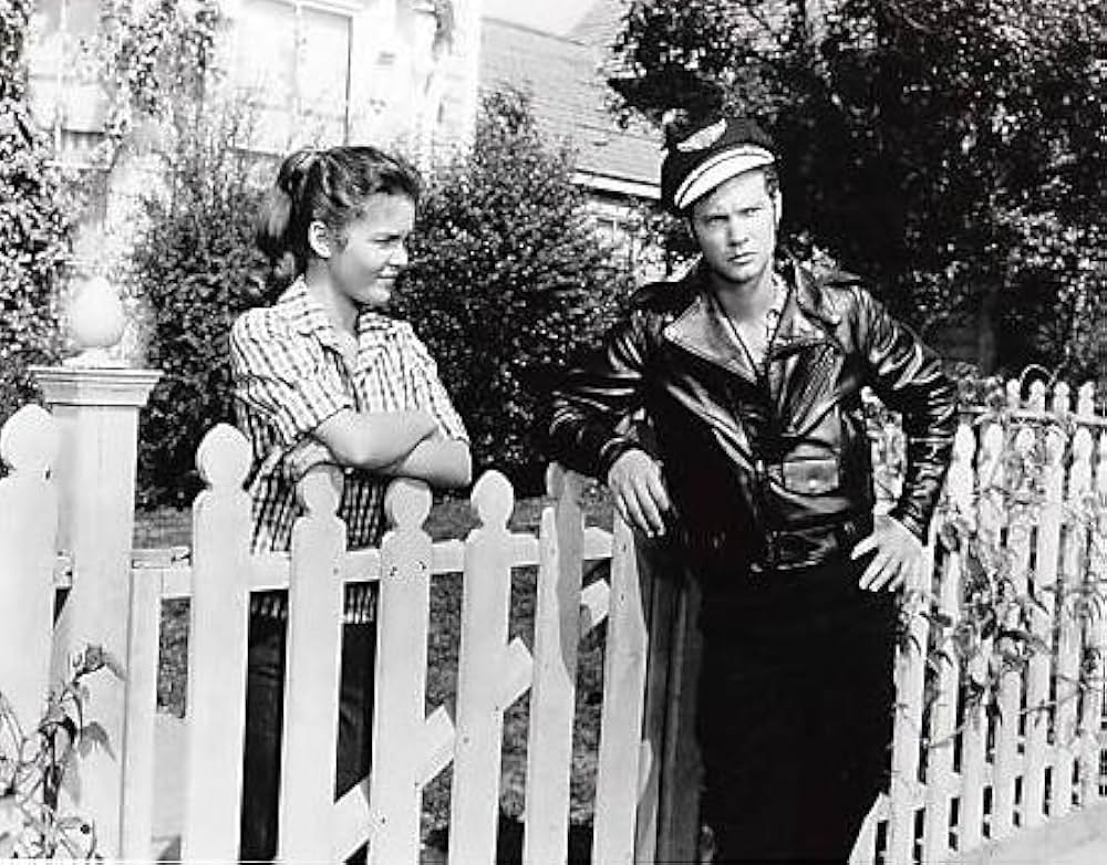 ポール・ニューマンの 女房万歳！の画像