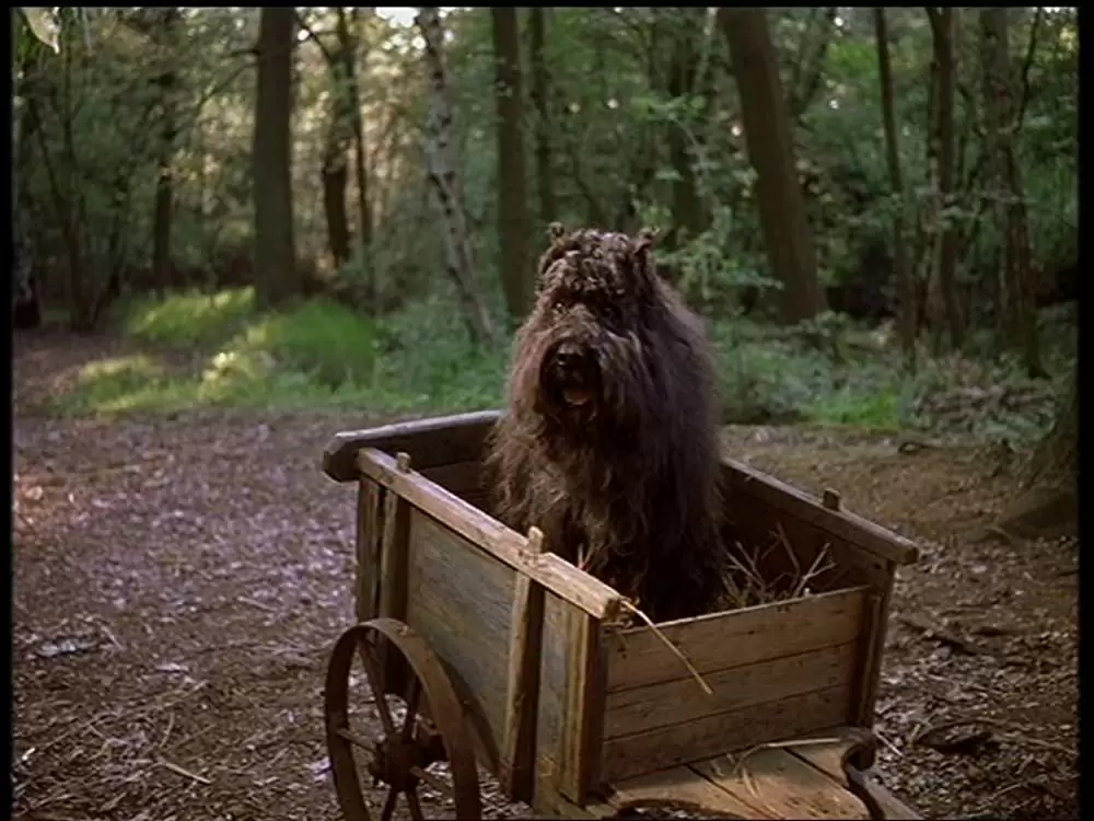 フランダースの犬の画像