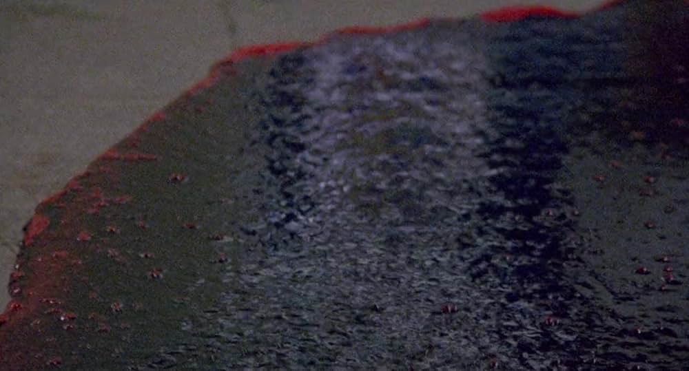 自殺サークルの画像