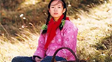 初恋のきた道の画像