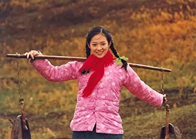 初恋のきた道の画像