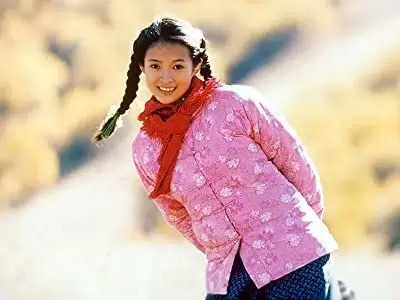 初恋のきた道の画像