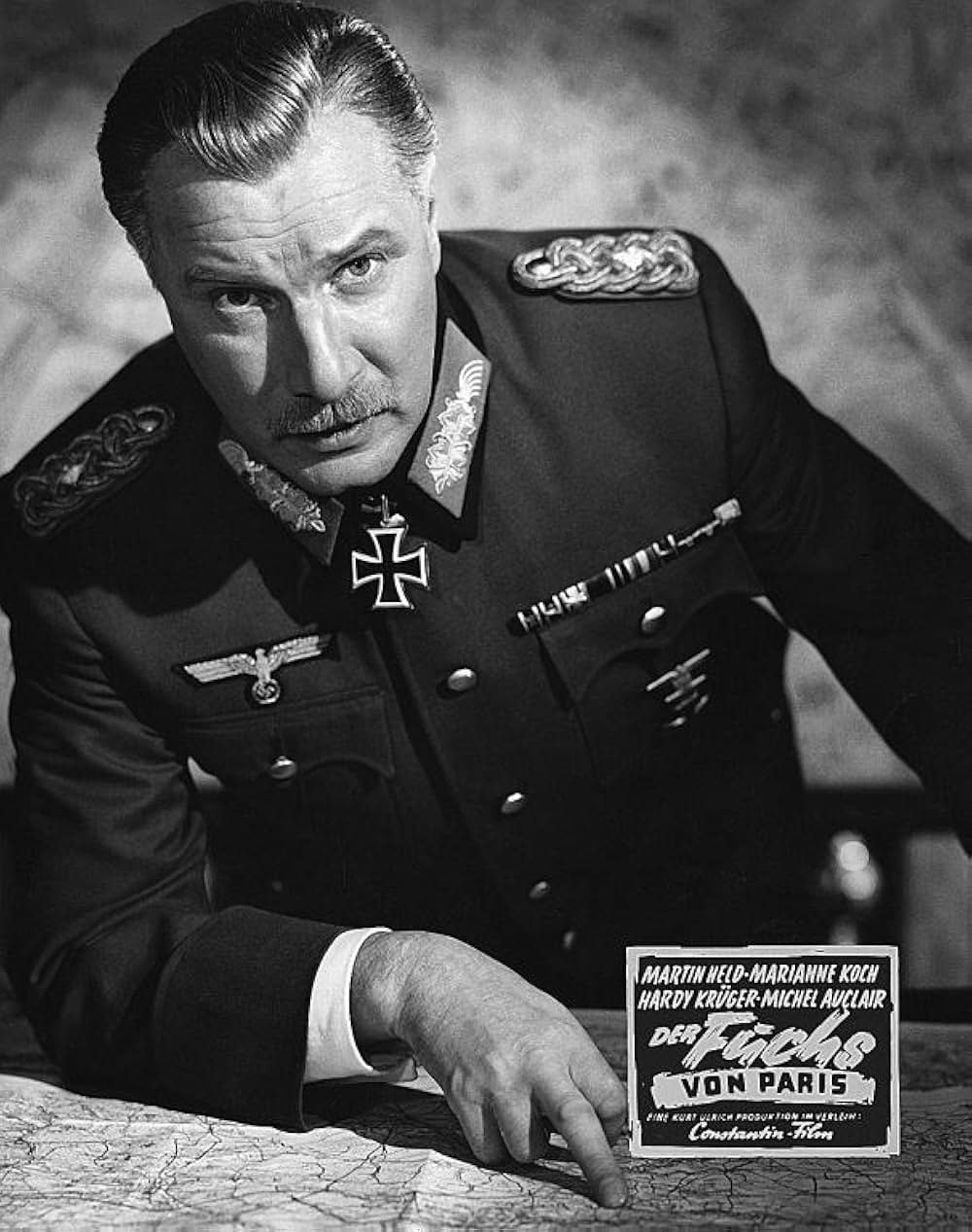 パリの狐の画像