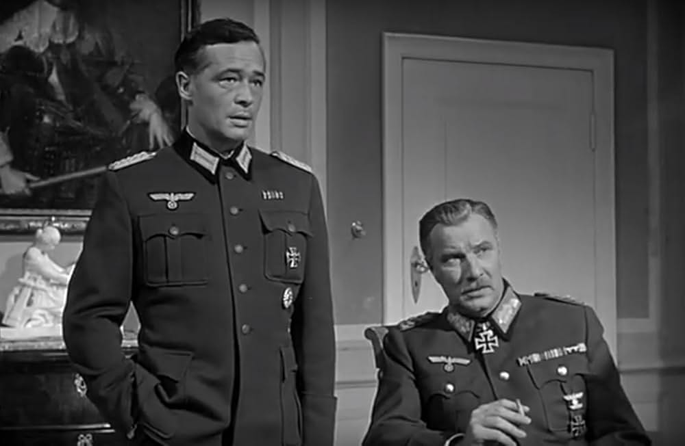 パリの狐の写真