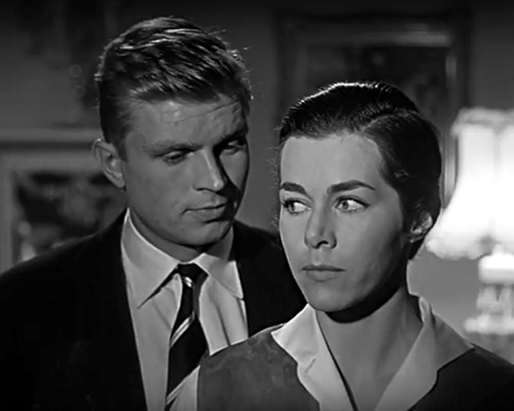 パリの狐の画像