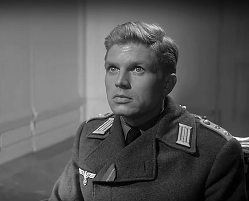 パリの狐の画像