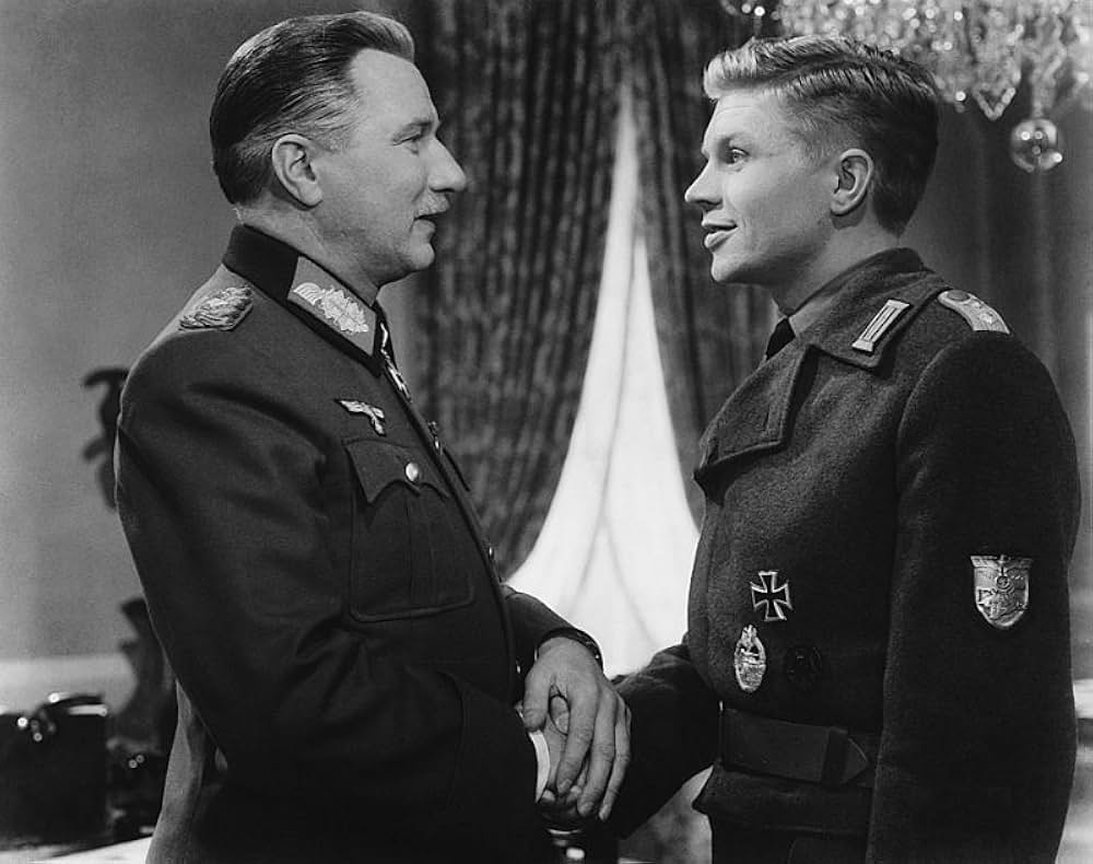 パリの狐の画像