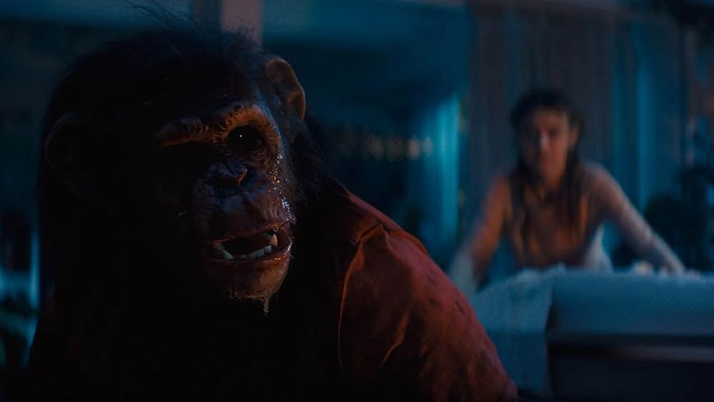 おさるのベンの画像