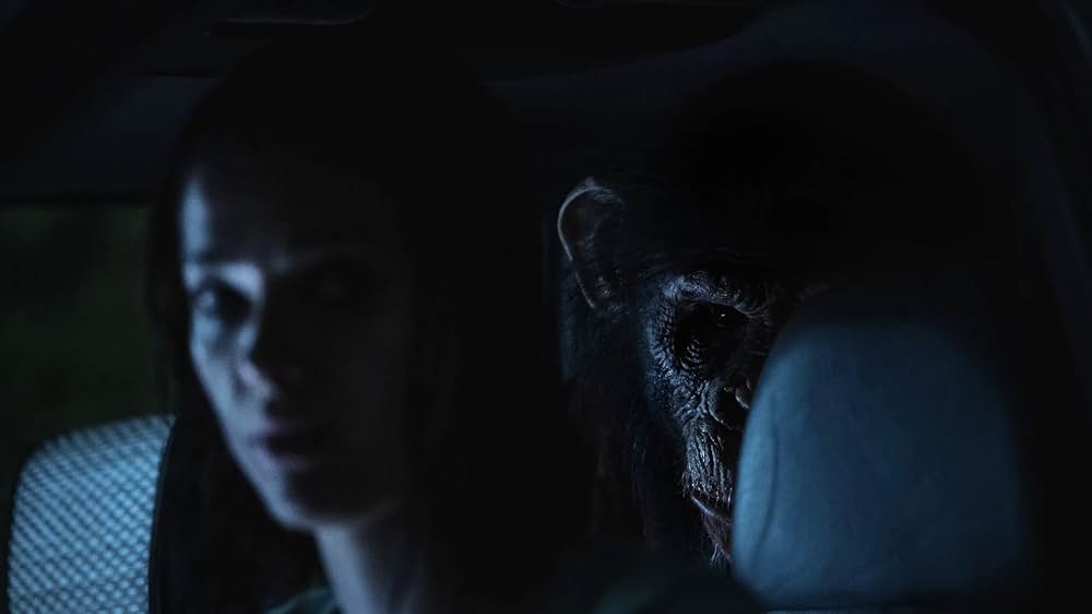 おさるのベンの画像