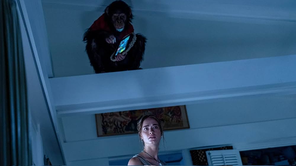 おさるのベンの画像