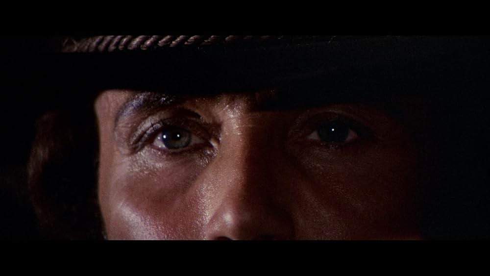 ジャンゴ・ザ・バスタードの画像