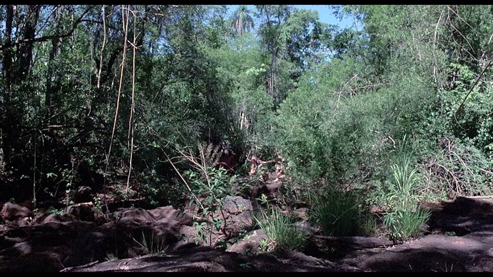 ショー・コスギ'88／復讐遊戯の画像