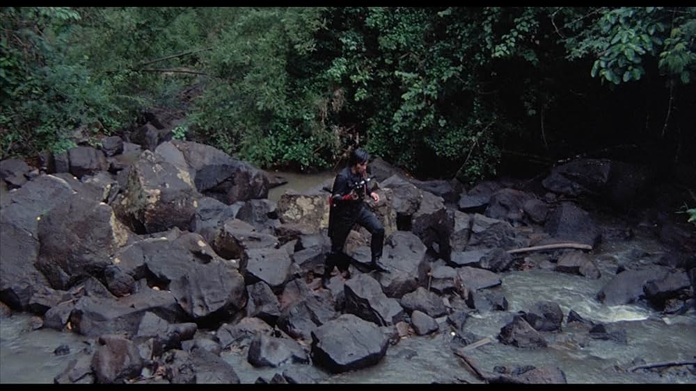 ショー・コスギ'88／復讐遊戯の画像