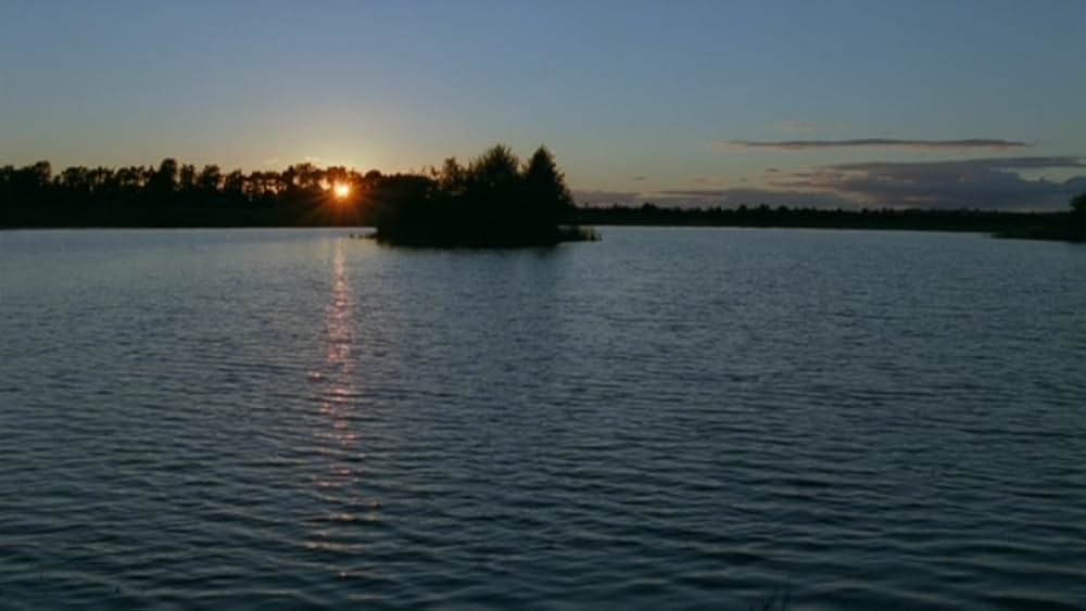 ジョジーの修理工場の画像