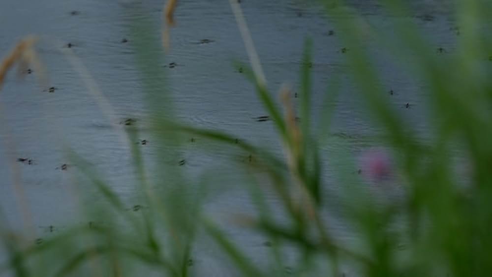 ジョジーの修理工場の画像