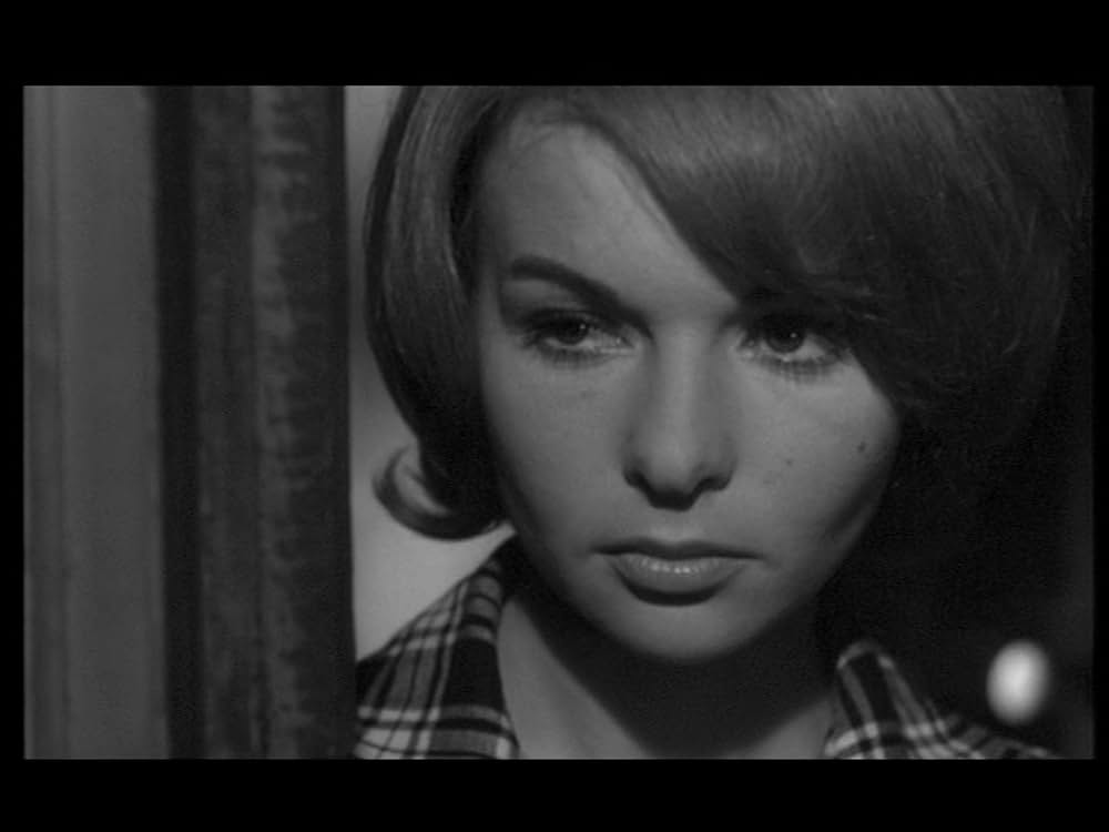 La chatte sort ses griffes（原題）の画像