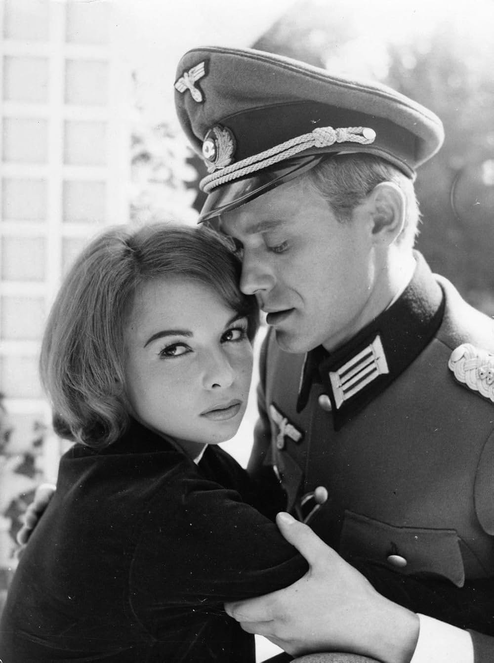 La chatte sort ses griffes（原題）の画像