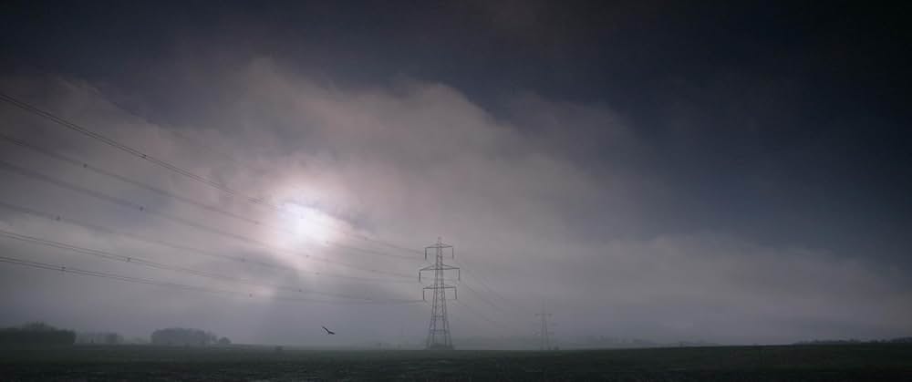 Bull（原題）の画像