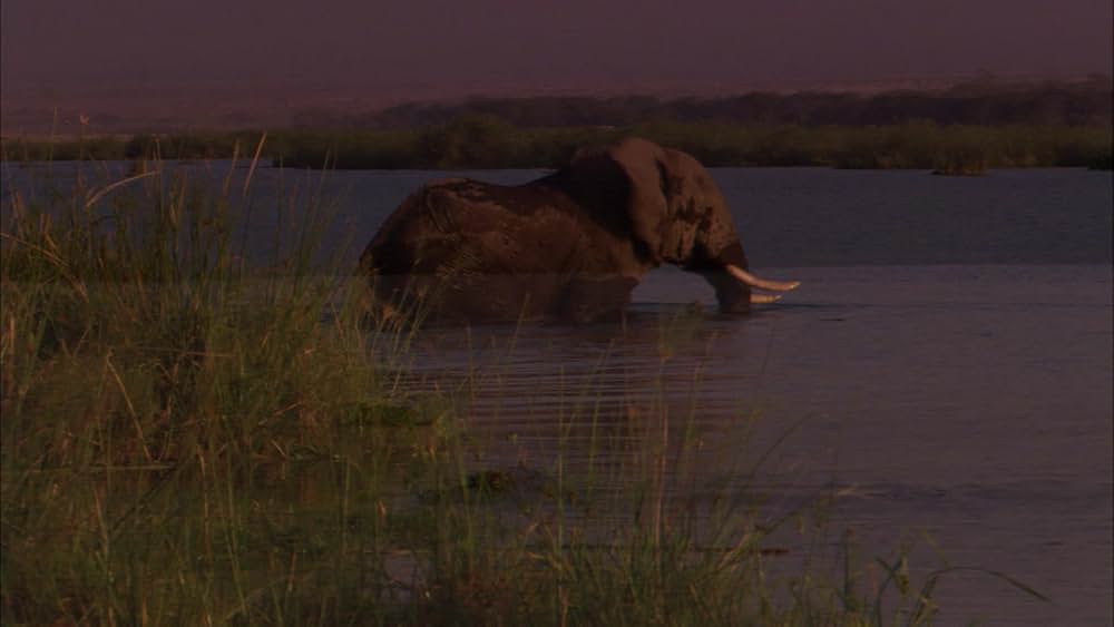 ライブラリアン キング・ソロモンの呪文の画像