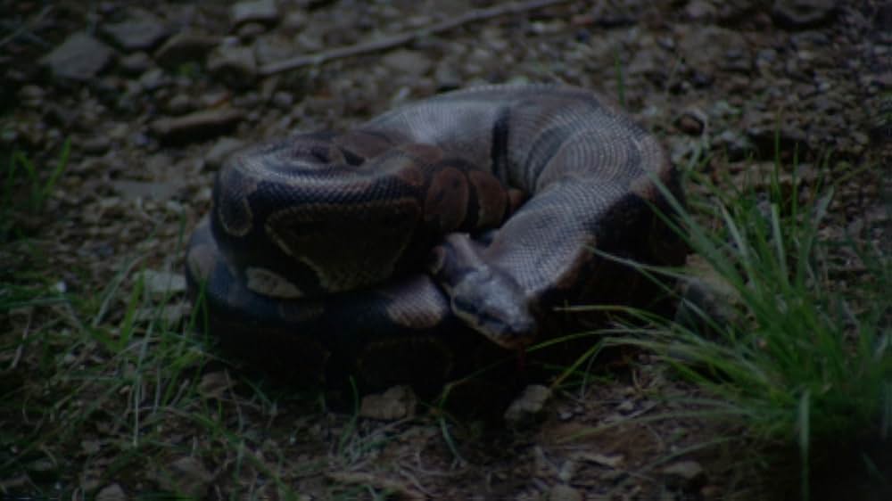 Devil's Express（原題）の画像