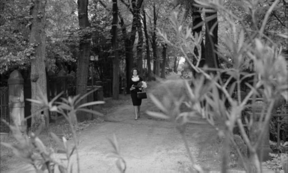 Der Würger von Schloß Blackmoor（原題）の画像