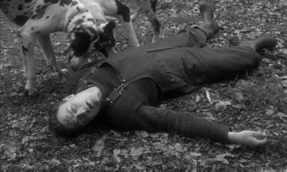 Der Würger von Schloß Blackmoor（原題）の画像