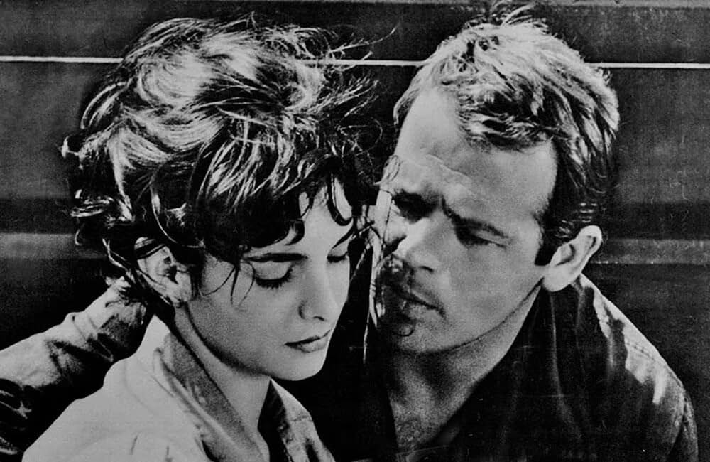 Omicron（原題）の画像