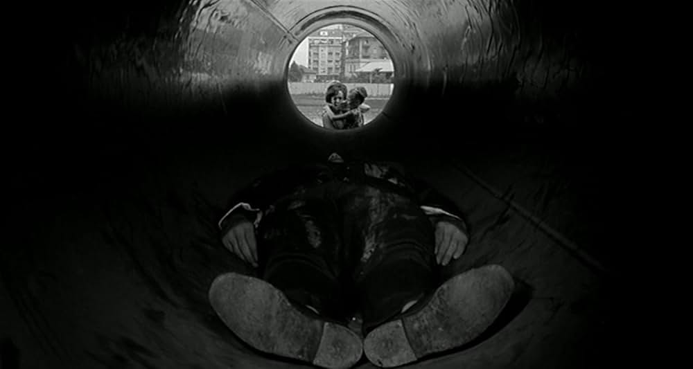 Omicron（原題）の画像