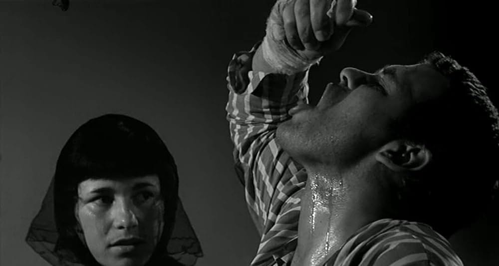 Omicron（原題）の画像