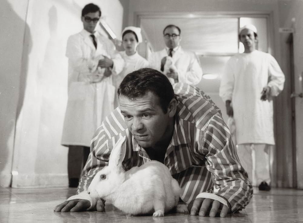 Omicron（原題）の画像