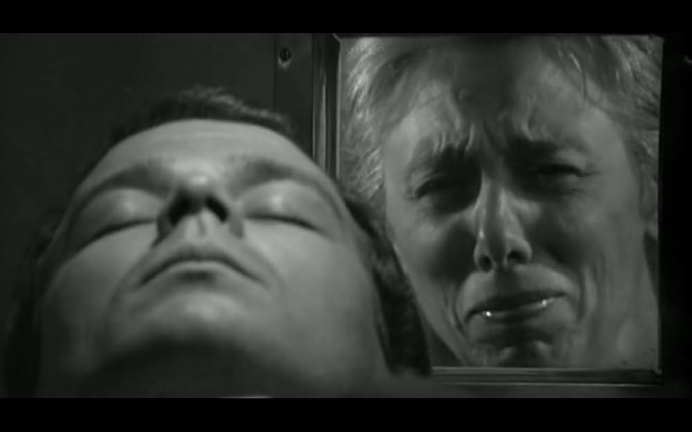 Omicron（原題）の画像