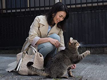 ねことじいちゃんの画像
