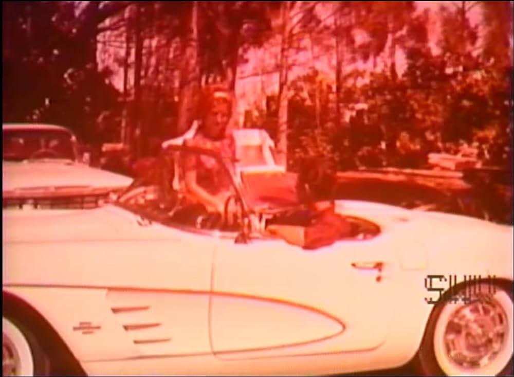 Daughter of the Sun（原題）の写真