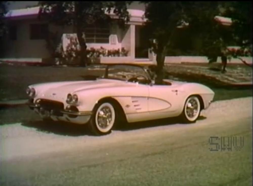 Daughter of the Sun（原題）の画像